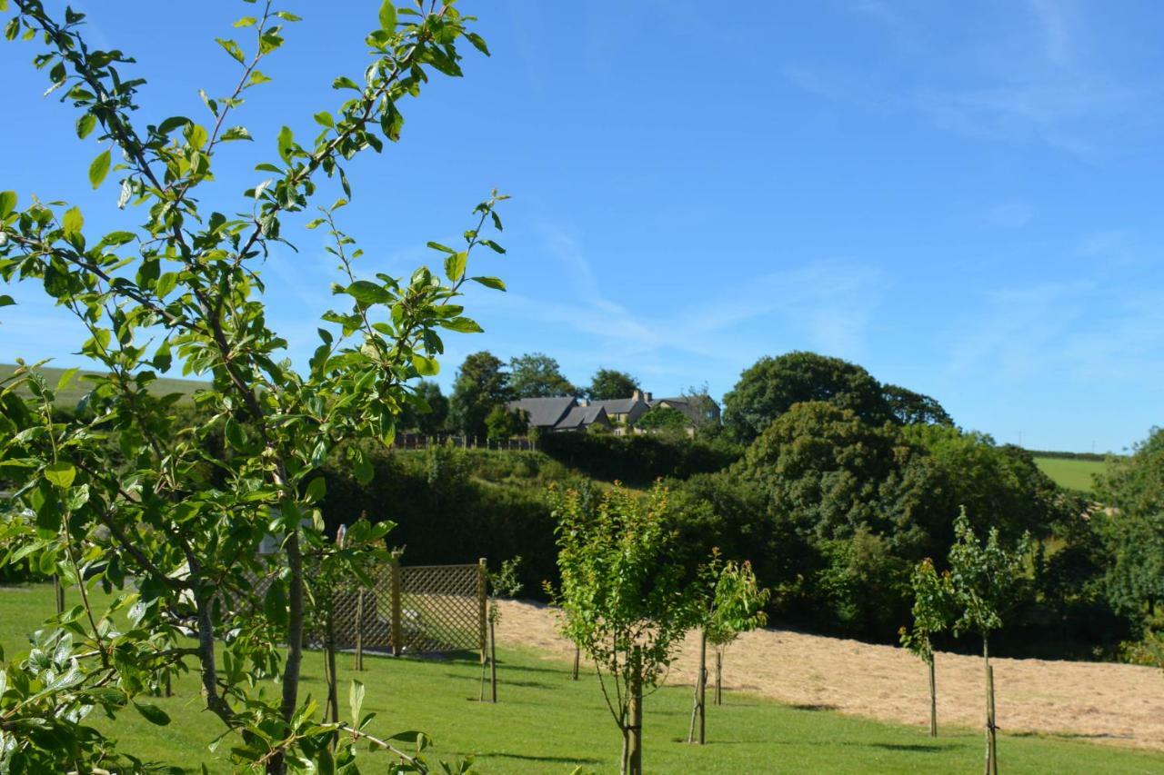 Kerswell Farmhouse Totnes Εξωτερικό φωτογραφία
